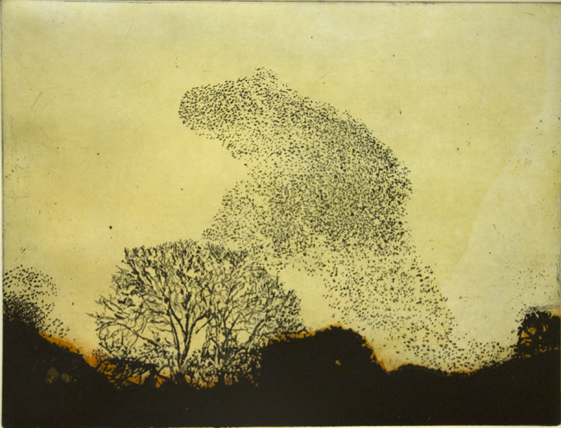 Murmuration I [SOLD OUT]