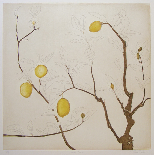 Cliona Doyle - Lemon Tree