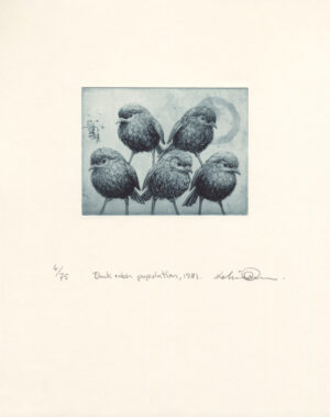 Kelvin Mann - Black robin population, 1981