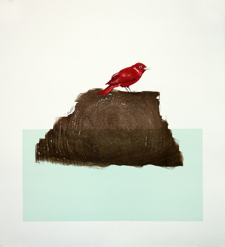 The Northern Cardinal (Redbird)