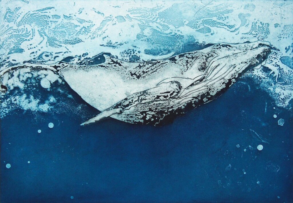 Whale Calf