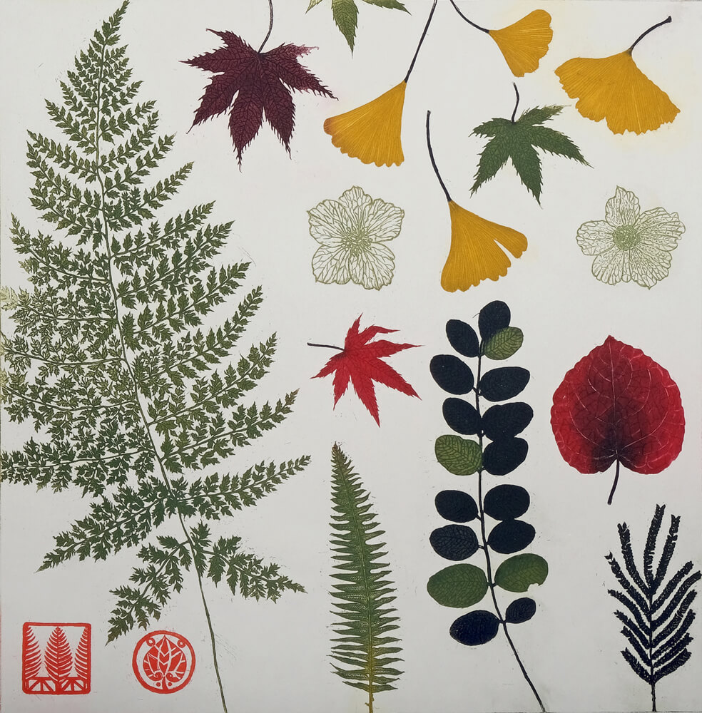 Pressed leaves and ferns
