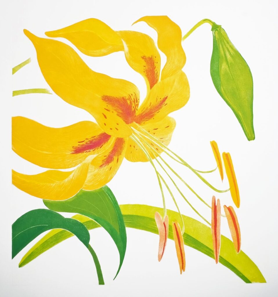 Butter Lily