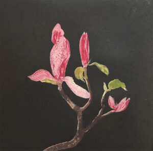 Cliona Doyle - Black Magnolia