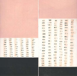 John Noel Smith - Untitled Field Print Diptych - Peach & Black