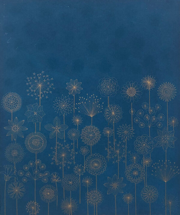 Yoko Akino - Donn's Garden, Etching & Aquatint, Ed. of 40, 60h x 50w cm, €460 unframed
