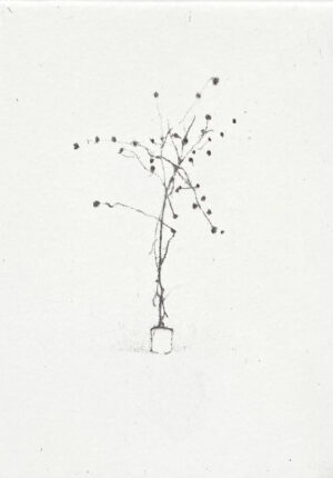 Lars Nyberg - Satie's Plant