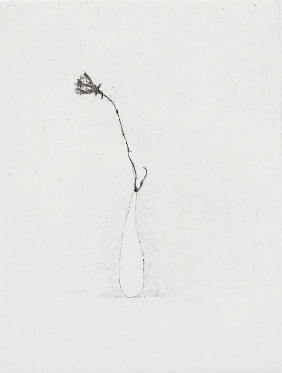 Lars Nyberg - White Vase